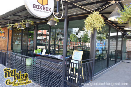 ร้าน Box Box Dog Cafe คาเฟ่น้องหมา เชียงใหม่