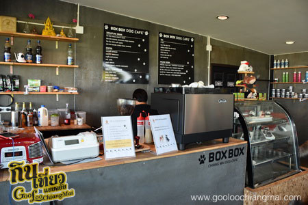 ร้าน Box Box Dog Cafe คาเฟ่น้องหมา เชียงใหม่