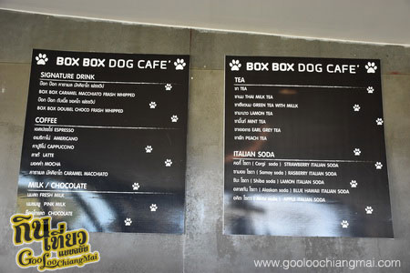 ร้าน Box Box Dog Cafe คาเฟ่น้องหมา เชียงใหม่