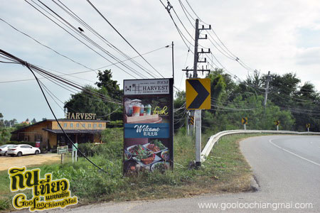 ร้าน ฮาเวสคาเฟ่ HARVEST Cafe