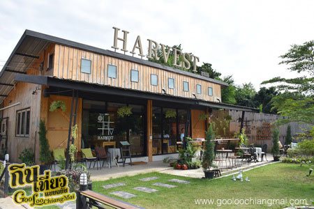 ร้าน ฮาเวสคาเฟ่ HARVEST Cafe