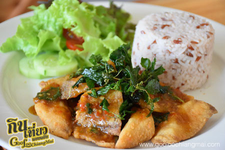 ร้าน ฮาเวสคาเฟ่ HARVEST Cafe