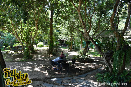 ร้าน หลงป่า Lhong-Pa : Coffee Bar And Home Cooking