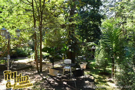 ร้าน หลงป่า Lhong-Pa : Coffee Bar And Home Cooking