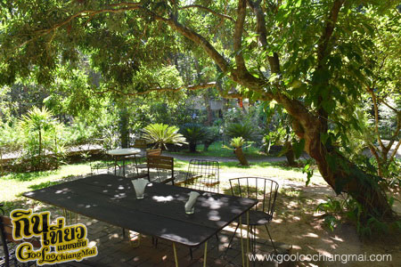 ร้าน หลงป่า Lhong-Pa : Coffee Bar And Home Cooking