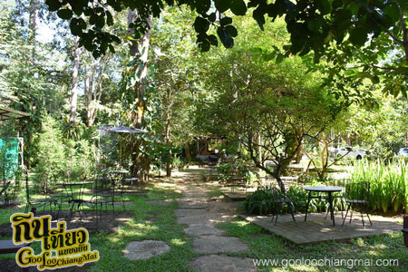 ร้าน หลงป่า Lhong-Pa : Coffee Bar And Home Cooking