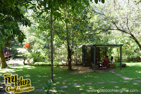 ร้าน หลงป่า Lhong-Pa : Coffee Bar And Home Cooking