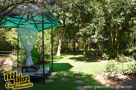 ร้าน หลงป่า Lhong-Pa : Coffee Bar And Home Cooking