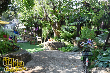 ร้าน ไม้เฮือน 60 Doi Chaang Coffee @ Mae Rim