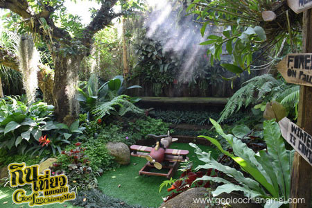 ร้าน ไม้เฮือน 60 Doi Chaang Coffee @ Mae Rim
