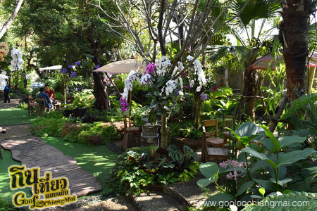 ร้าน ไม้เฮือน 60 Doi Chaang Coffee @ Mae Rim