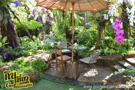 ร้าน ไม้เฮือน 60 Doi Chaang Coffee @ Mae Rim