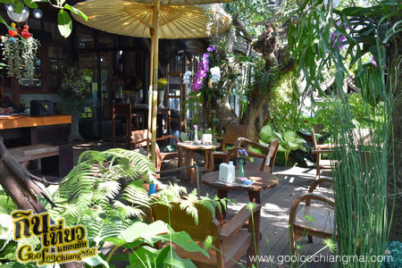 ร้าน ไม้เฮือน 60 Doi Chaang Coffee @ Mae Rim