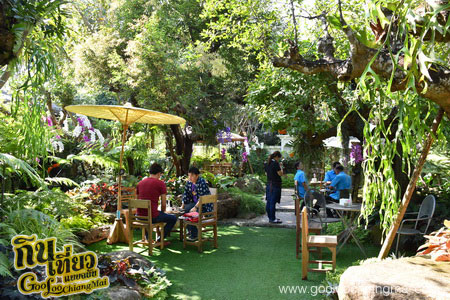 ร้าน ไม้เฮือน 60 Doi Chaang Coffee @ Mae Rim