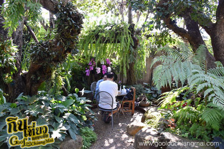 ร้าน ไม้เฮือน 60 Doi Chaang Coffee @ Mae Rim