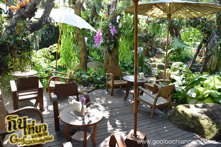 ร้าน ไม้เฮือน 60 Doi Chaang Coffee @ Mae Rim