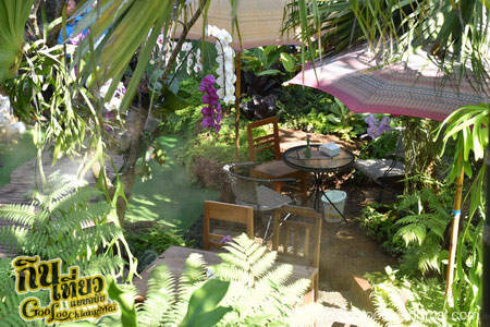 ร้าน ไม้เฮือน 60 Doi Chaang Coffee @ Mae Rim