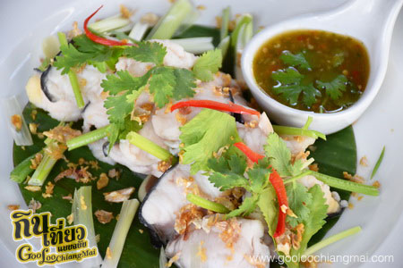 ร้าน O-Shin Cafe' Chiang Mai