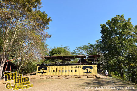 ร้าน กาแฟไม้ป่าเดียวกัน ดื่ม&แดก cafe’