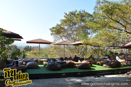 ร้าน กาแฟไม้ป่าเดียวกัน ดื่ม&แดก cafe’
