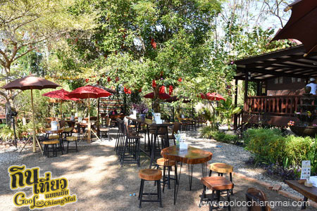 ร้าน กาแฟไม้ป่าเดียวกัน ดื่ม&แดก cafe’