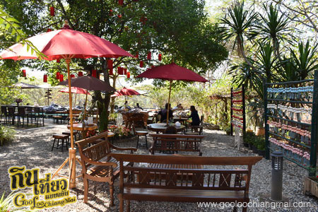 ร้าน กาแฟไม้ป่าเดียวกัน ดื่ม&แดก cafe’