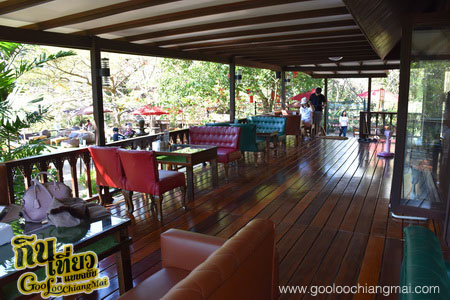 ร้าน กาแฟไม้ป่าเดียวกัน ดื่ม&แดก cafe’