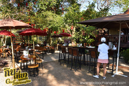 ร้าน กาแฟไม้ป่าเดียวกัน ดื่ม&แดก cafe’
