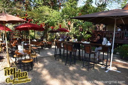 ร้าน กาแฟไม้ป่าเดียวกัน ดื่ม&แดก cafe’
