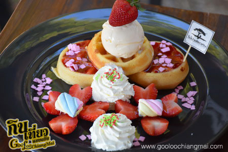 ร้าน กาแฟไม้ป่าเดียวกัน ดื่ม&แดก cafe’