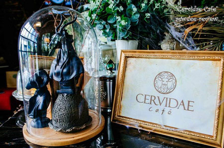 ร้าน เซอรวิเดี่ย คาเฟ่ Cervidae Cafe