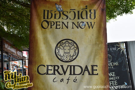 ร้าน เซอรวิเดี่ย คาเฟ่ Cervidae Cafe