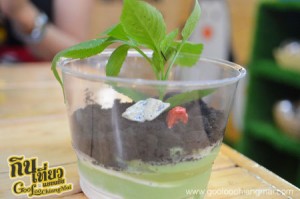 ร้าน Summer Monster Ice Cream