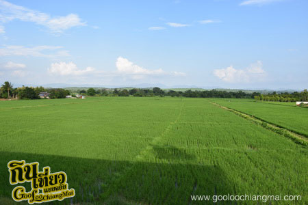 ฝาง โมเดิร์น โฮเทล Fang Modern Hotel