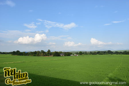 ฝาง โมเดิร์น โฮเทล Fang Modern Hotel