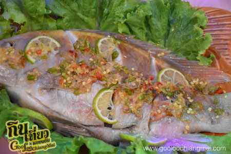 ร้าน สกูบาร์ Scubar