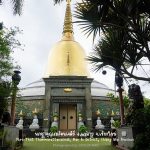 พระธาตุธรรมรัตนเจดีย์ อ.แม่อาย