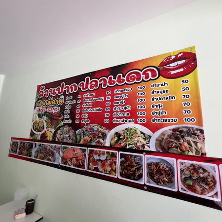 ร้าน ล้านปากปลาแดก อ.แม่อาย